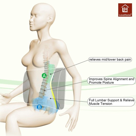 Adjustable 3D Mesh Memory Foam Back Support Cushion Office Chair and Car Seat Cushion Lumbar Support Back Pillow