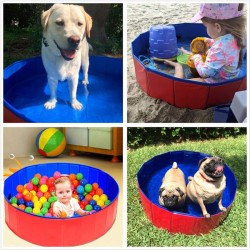 Red Foldable Dog Pet Bath Swimming Pool for Dogs Cats and Kids 80*30CM