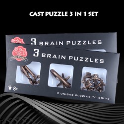 3 Pieces Cast Metal Brain Teaser Puzzles in 1 Set   