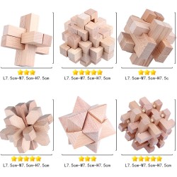 6 in 1 Beech Wooden Brain Puzzles - Boxed 