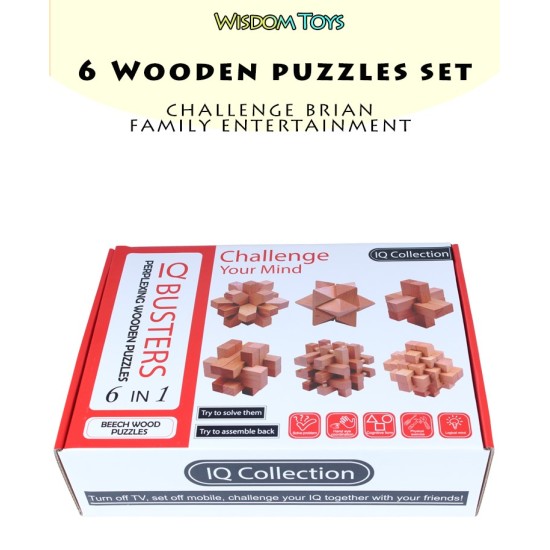 6 in 1 Beech Wooden Brain Puzzles - Boxed 