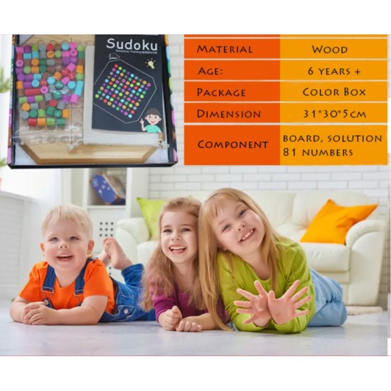 Colorful Wooden Sudoku Game