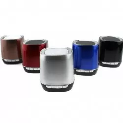 Bluetooth Oval Speaker