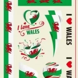 World Cup Team Tattoo's - 10 Pack - Countries S - W