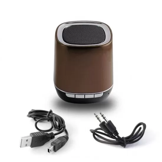 Bluetooth Oval Speaker