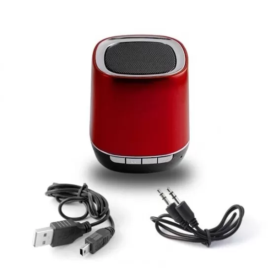 Bluetooth Oval Speaker