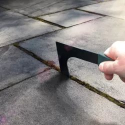 Patio Weed and Moss Remover Set - 2 Piece